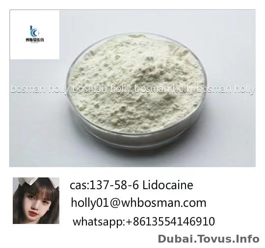 99% Local Anesthetic Xylocaine /Lidocaine Base CAS 137-58-6 for Pain Killer holly01@whbosman.com