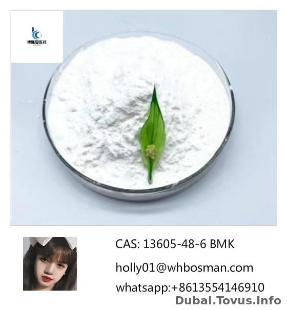 CAS: 13605-48-6 PMK Powder, 5413-05-8 with Factory Price holly01@whbosman.com