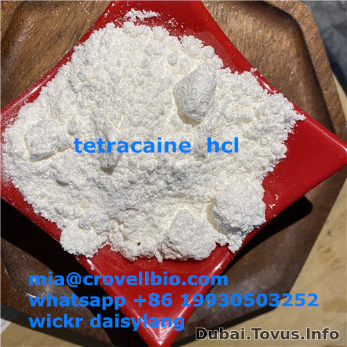 tetracaine supplier in China  （mia@crovellbio.com  whatsapp +86 19930503252